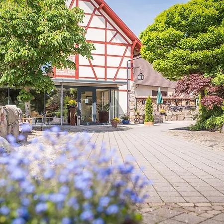 Hotel Und Hirsch Hüttenreute 3*